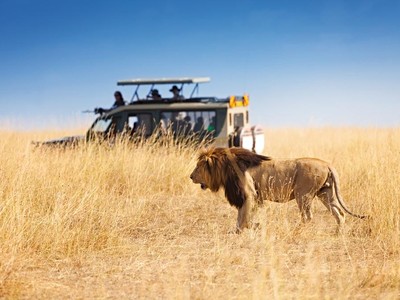 Safari Amboseli+Tsavo East-West (3 Noci)+Jacaranda
